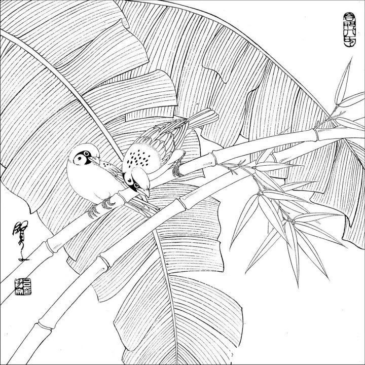 资料集|王道良实用花鸟白描资料集