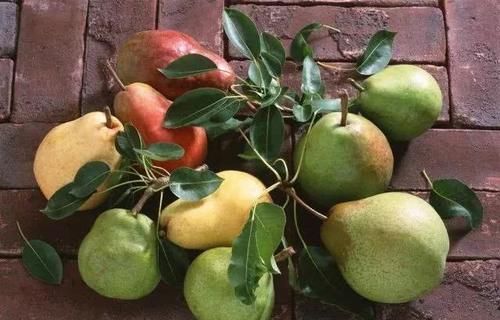 含有|想身体年轻,坚持多吃的食物,促进排便,让面色红润,不显老