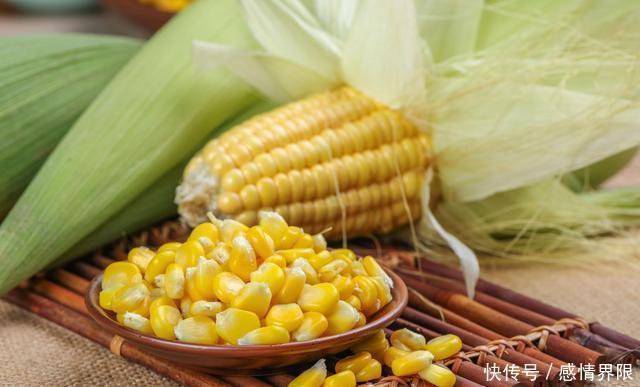 利器|减肥“最狠”的四种主食,玉米上榜,它才是真正的燃脂利器