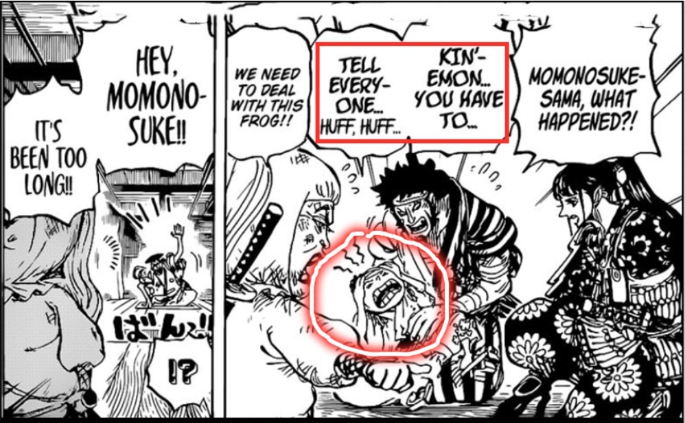 海贼王|海贼王1014话，乔伊波伊附身路飞，桃之助两次暗示，800年前的男人来了