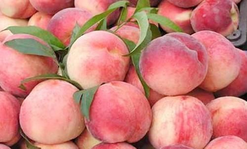 女性“大姨妈”时,多吃4种食物,排出毒素,调节月经,预防早衰