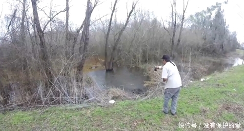水沟|车一停,公路边上一站,朝着水沟就钓鱼,鱼获多样,鱼从哪来?