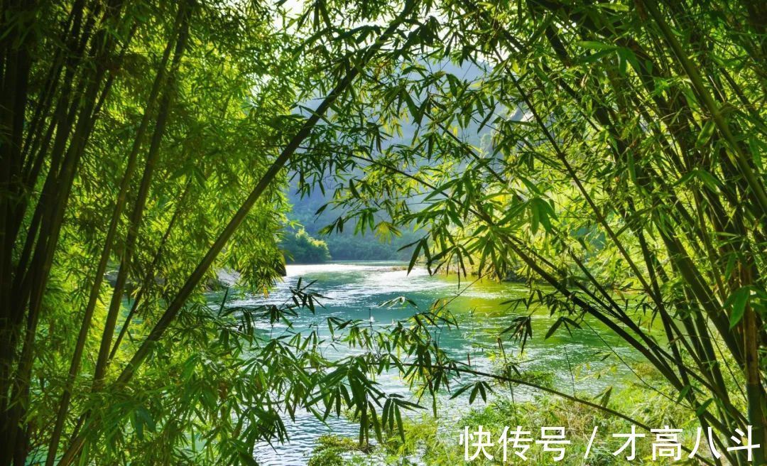 王安石&古人10 段话,读后做个明白人