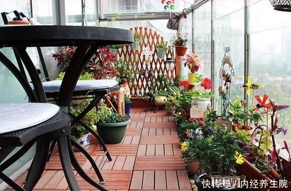 冬天晚上把花放进屋子里来真的好吗！