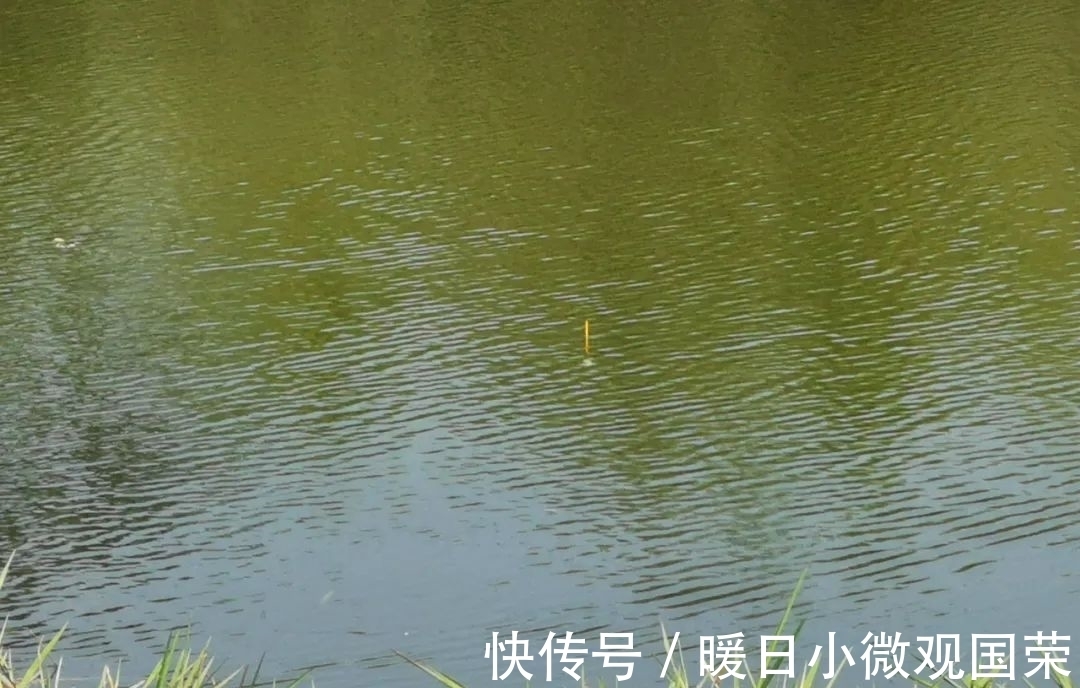 新手|新手真的不用学调漂吗？给你几个实用的建议，看完后不再迷茫