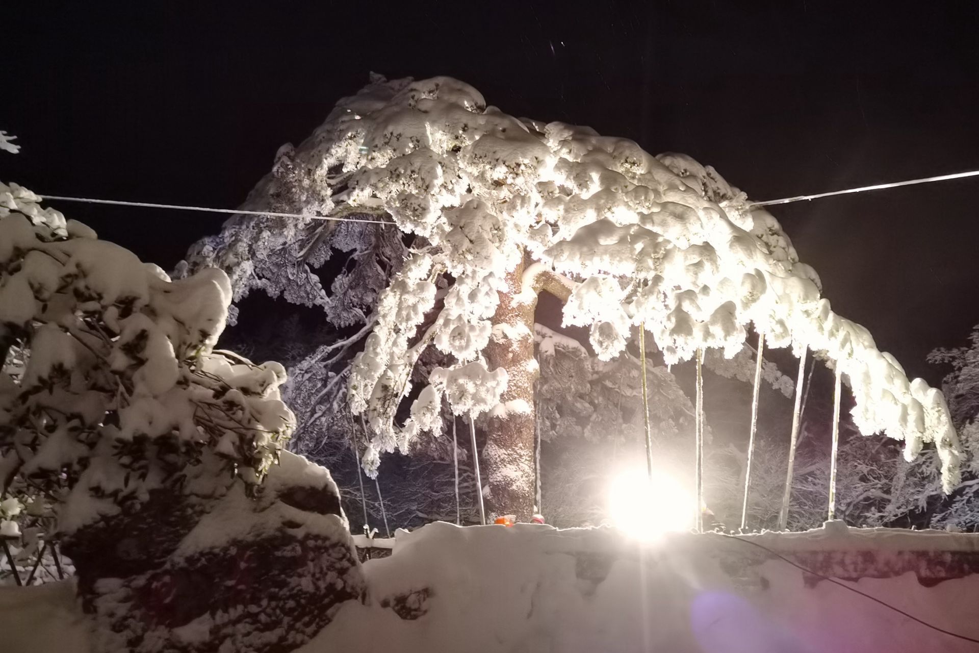 赏雪|黄山雪深18厘米 大年初三近8000人上山看雪景