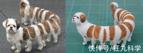 长颈狗|全球的猫都想屏蔽这个日本人,他到底做了多少沙雕手办?