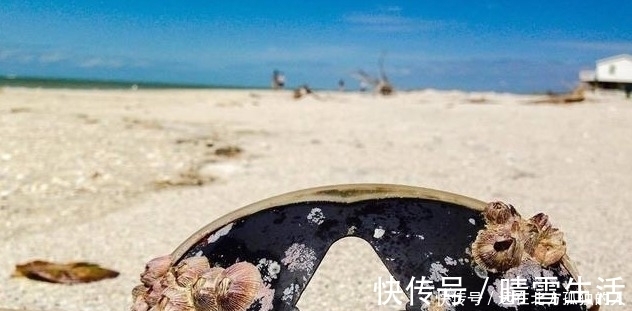 咖喱|有人在海边捡到钻石,更有人在海边捡到红宝石戒指