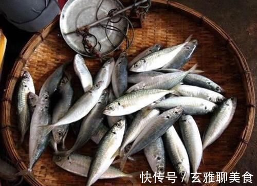 冬天吃鱼，首选这4种鱼，目前无法人工养殖，营养美味，贵点也值