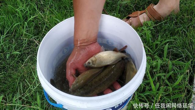 水温|冬季野钓为什么晴天不上鱼,而阴冷天却鱼口好老钓友告诉你答案