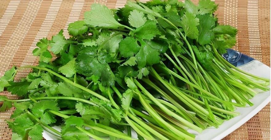 延缓|女性想养生,3种食物轮着吃,滋肝排毒,延缓衰老,早吃早好