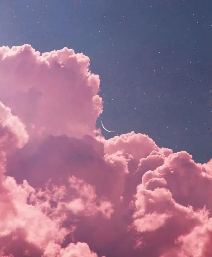 漫山遍野|你是盛开着的，漫山遍野的温柔