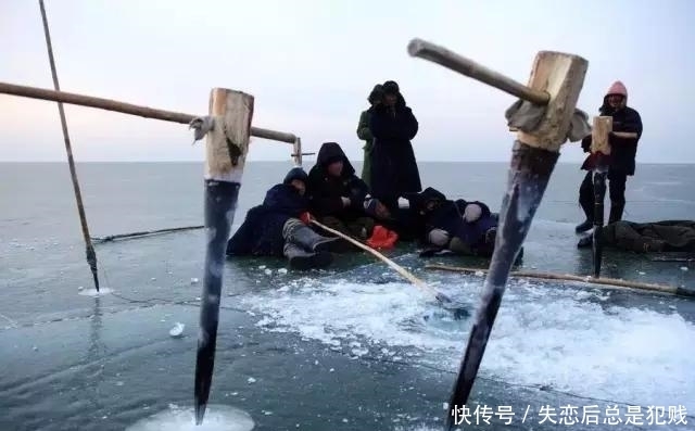 冬捕|辽金查干湖冬捕,千人扯网捞出头鱼,卖出85万天价,喜人