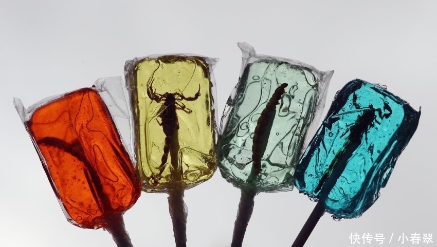 重口“美味”,你敢吃吗,我看了都怕了!