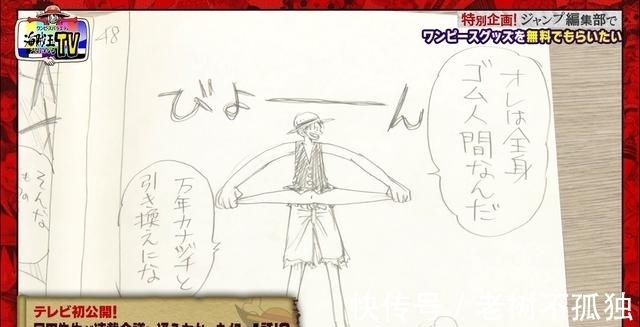 尾田|海贼王综艺,大和能否上船?编辑含糊其辞