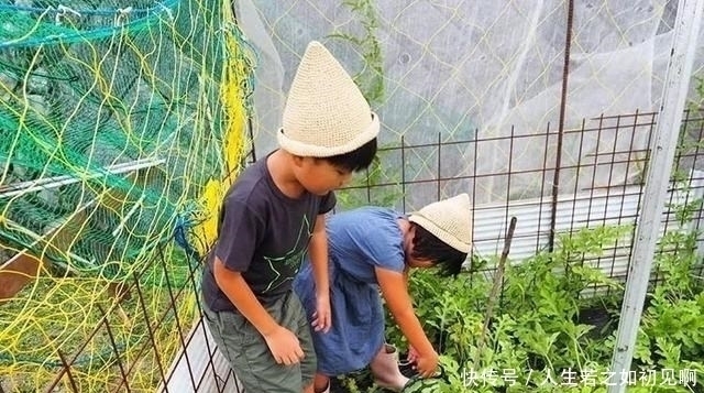 看了这位日本妈妈的日常晒照，一方小院的乡下的生活，令人羡慕