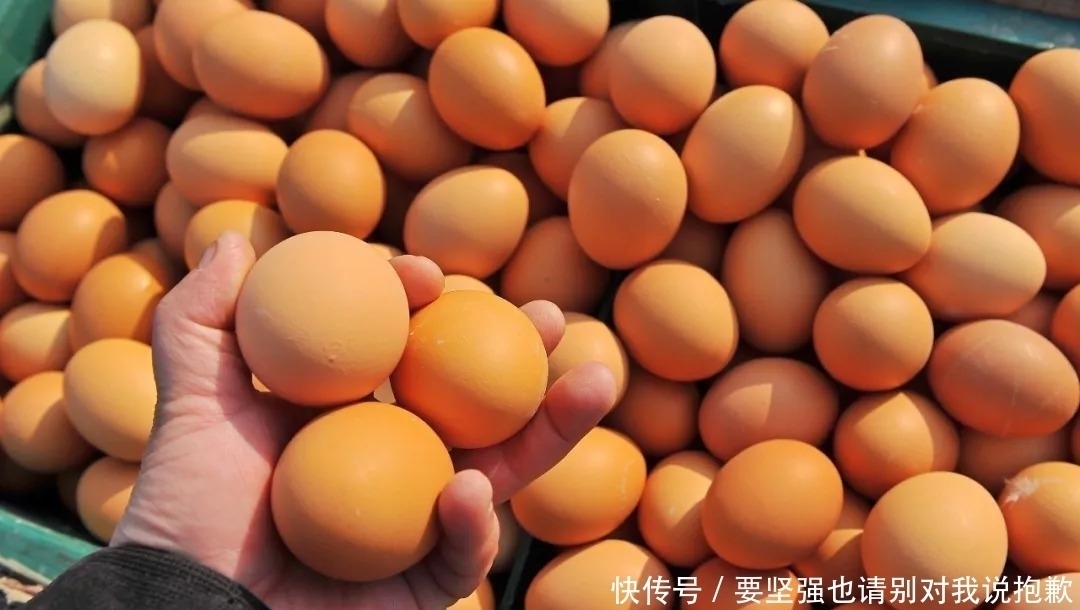 买鸡蛋时,白壳和红壳鸡蛋选哪种好?教你三招,买到好鸡蛋