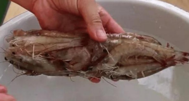 保存虾,直接冷冻是大错!渔民教你1招,1年不坏,和鲜虾一样鲜