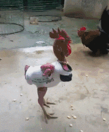 |搞笑GIF:小姐姐你这样做烧烤,其他人怎么吃得下