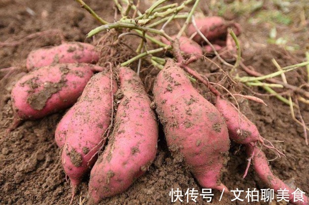 女性|女性过了45岁, 多吃三种碱性食物，帮你补足雌激素，60都不显老