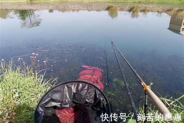 应对冬季特有的鱼情变化,掌握这几点大鲫鱼连竿上!