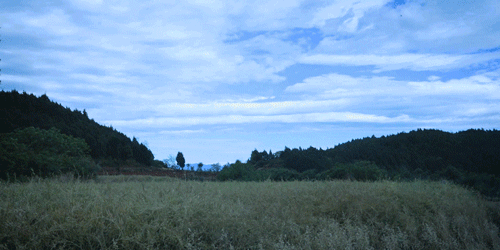 一物一生，吃完萝卜，一生系列就停在这里了吧