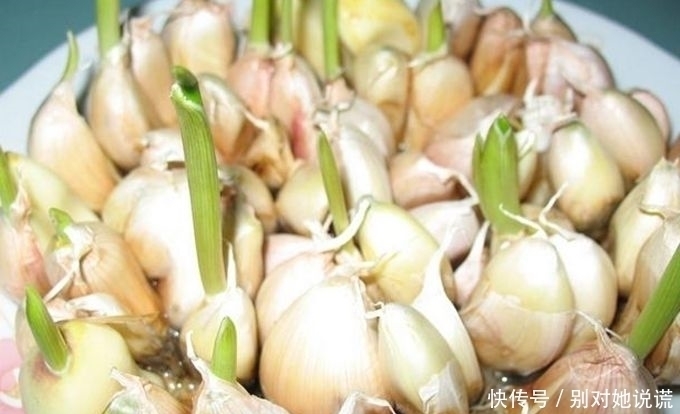 常吃大蒜的人，身体不会差，但切忌与一物同食，却有很多人不清楚