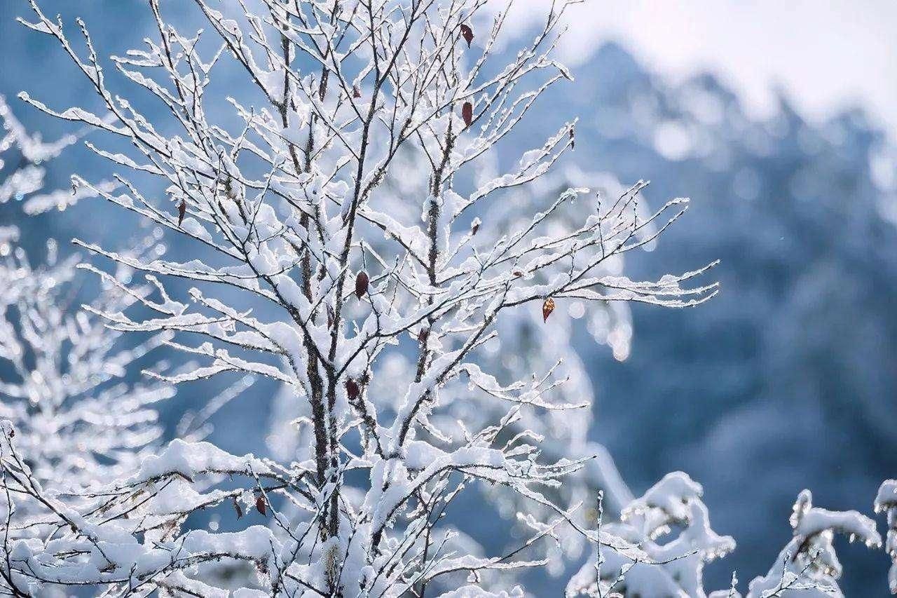 长春|相约长春，邂逅冰雪奇缘