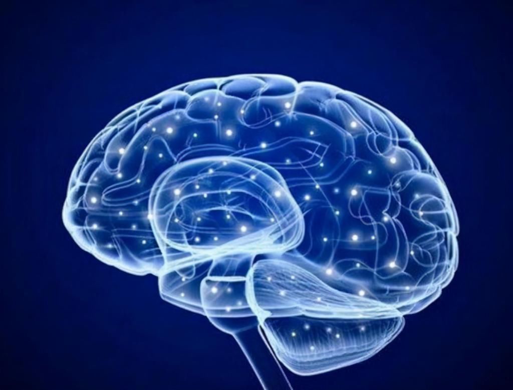 基因|孩子“太笨”是基因不好？智商高不高看这几点，别再都赖遗传