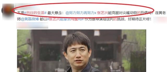 向往的生活|《向往的生活5》预告,黄磊还是老狐狸,张艺兴“捡鸡蛋”工具人