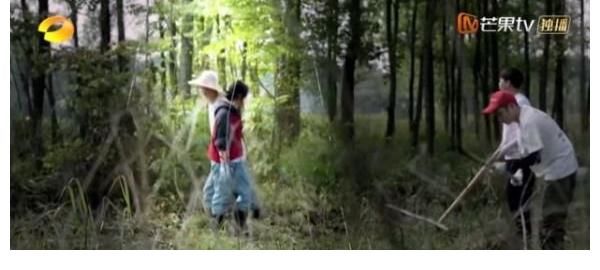 两人|《向往的生活》张子枫对梁靖康说的第一句话，尽显两人关系，难怪黄磊想要打他