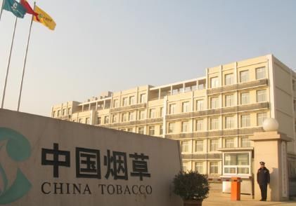 |沙雕动画，搞笑：贪嘴的我，为了吃颗杏，也是付出了太多