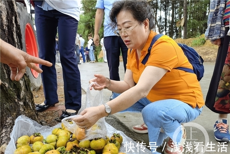 景区|一碗小面4元，麻花一袋1元 这个景区便宜得让游客“心疼”