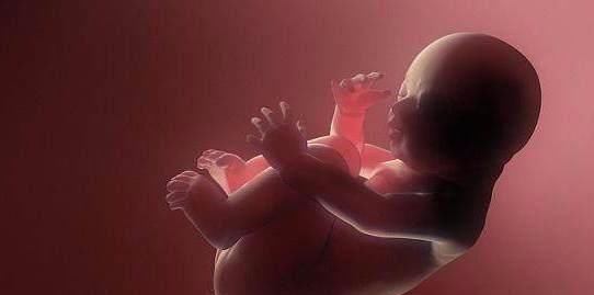 胎停|孕期,若出现这4种情况,可能是胎停的“前兆”,孕妈最好早知道