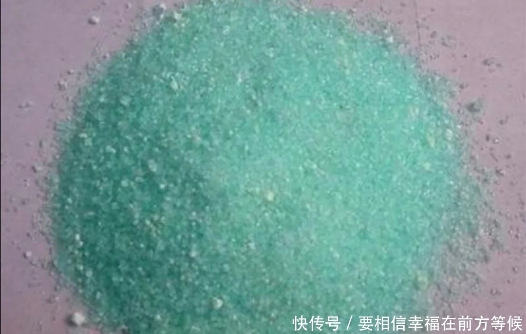 硫酸亚铁养花,不要乱用,做好2个细节,长得旺盛叶子浓绿