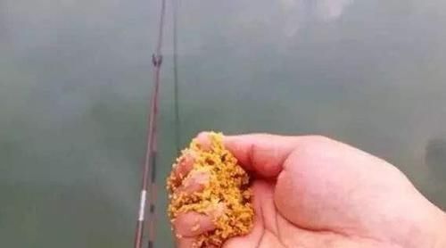 天一热,打窝后常无鱼咬钩,老钓友告诉你3个原因,记好只说一次