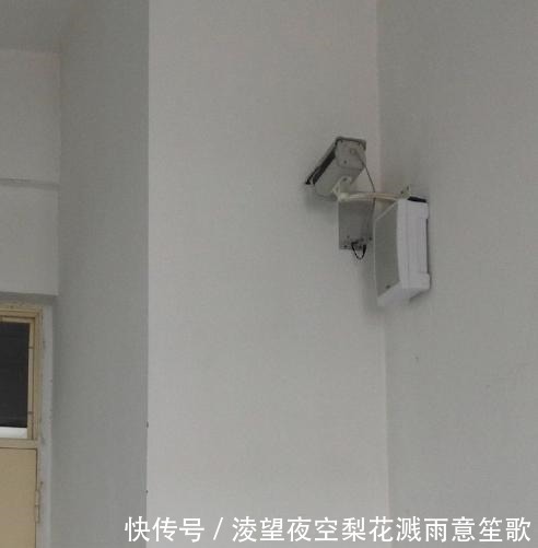 gt小长假不看点沙雕图怎么过!这世上竟有如此沙雕的手办!