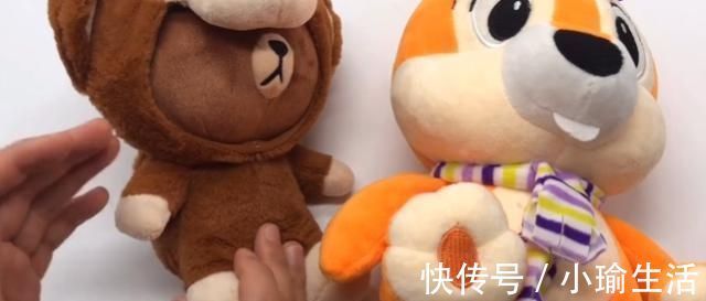 螨虫|搬新家时，这几样旧东西不能要，很多人还不清楚，进来学学吧