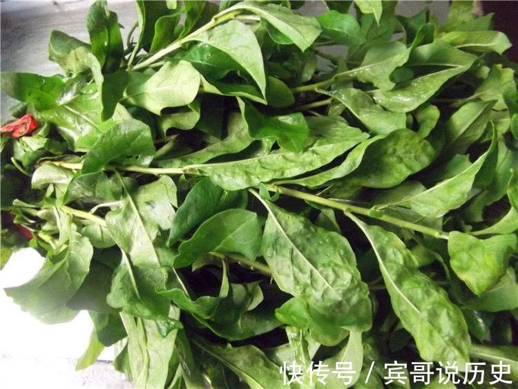 老少皆宜|冬天到了，每周吃两次此叶子，气血足了，眼睛更明亮，老少皆宜