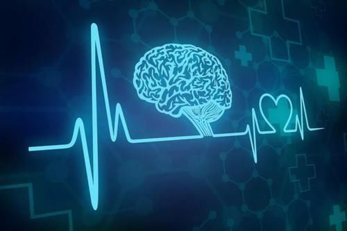 浸出油、压榨油,到底吃哪种油对身体最有益营养师告诉你答案