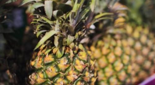 菠萝好吃却不能乱吃，春天吃菠萝有一大禁忌，还有很多人不清楚！