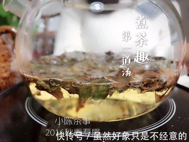 煮白茶的独门秘籍是什么选散茶还是饼茶这份硬核清单告诉你