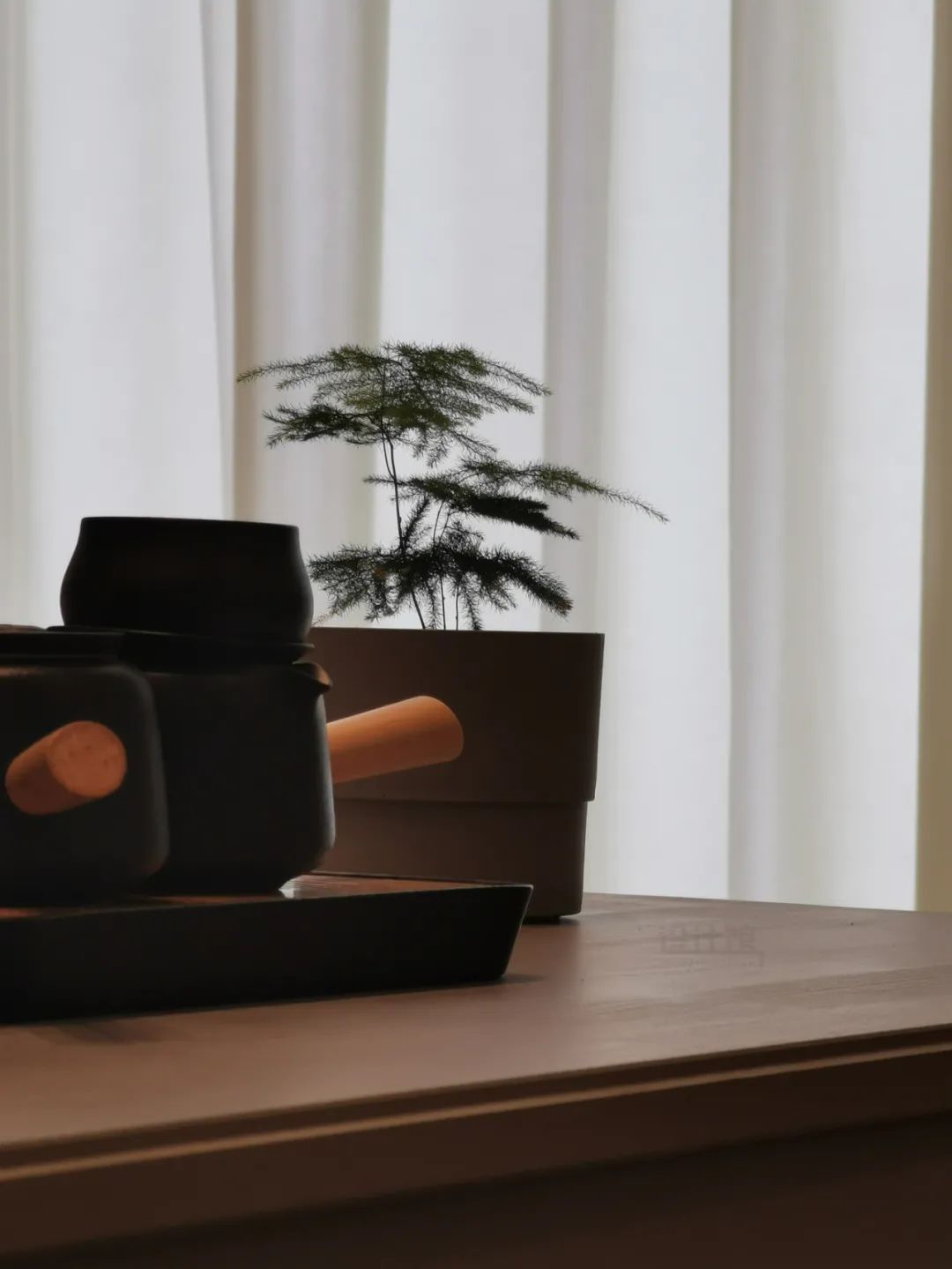 千年木|哪些可以提升空间质感的绿植?这10种绿植摆在家里,空间很有气质