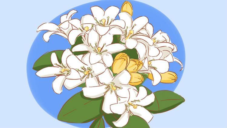 四个小物品，增加生活舒适度