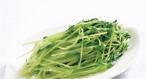 女人春季养生，多吃以下食物，止咳化痰，祛湿排毒，早吃早好