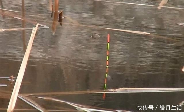 钓饵|钓半水浮漂只需这样调，钓底、钓浮无需再次调漂