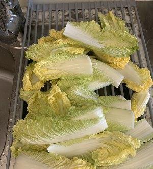 健康早餐菜谱,娃娃菜鸡蛋饼,简单美味营养,适合夏天,吃不够