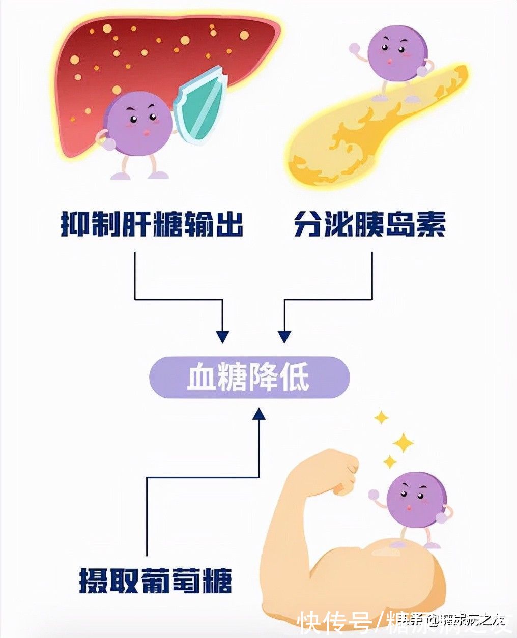 注射液|全球首个基础胰岛素GLP-1RA注射液，为糖友带来“高达标、易掌控”的新选择