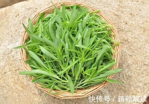 扫帚菜|三伏天女孩经常吃野菠菜,坚持半个月后,身体出现多种惊喜变化