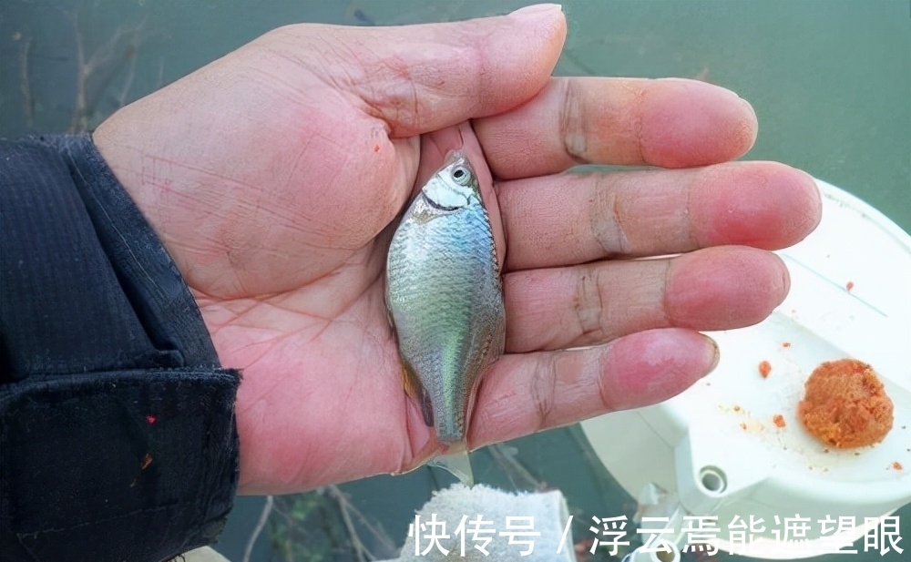 野钓钓鱼,如何避开小鱼闹窝?这几个技巧,有效减少小鱼闹窝